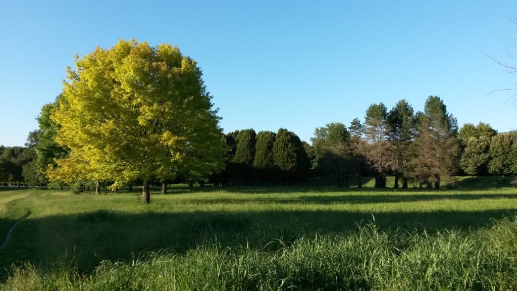 sport per chi ha poco tempo