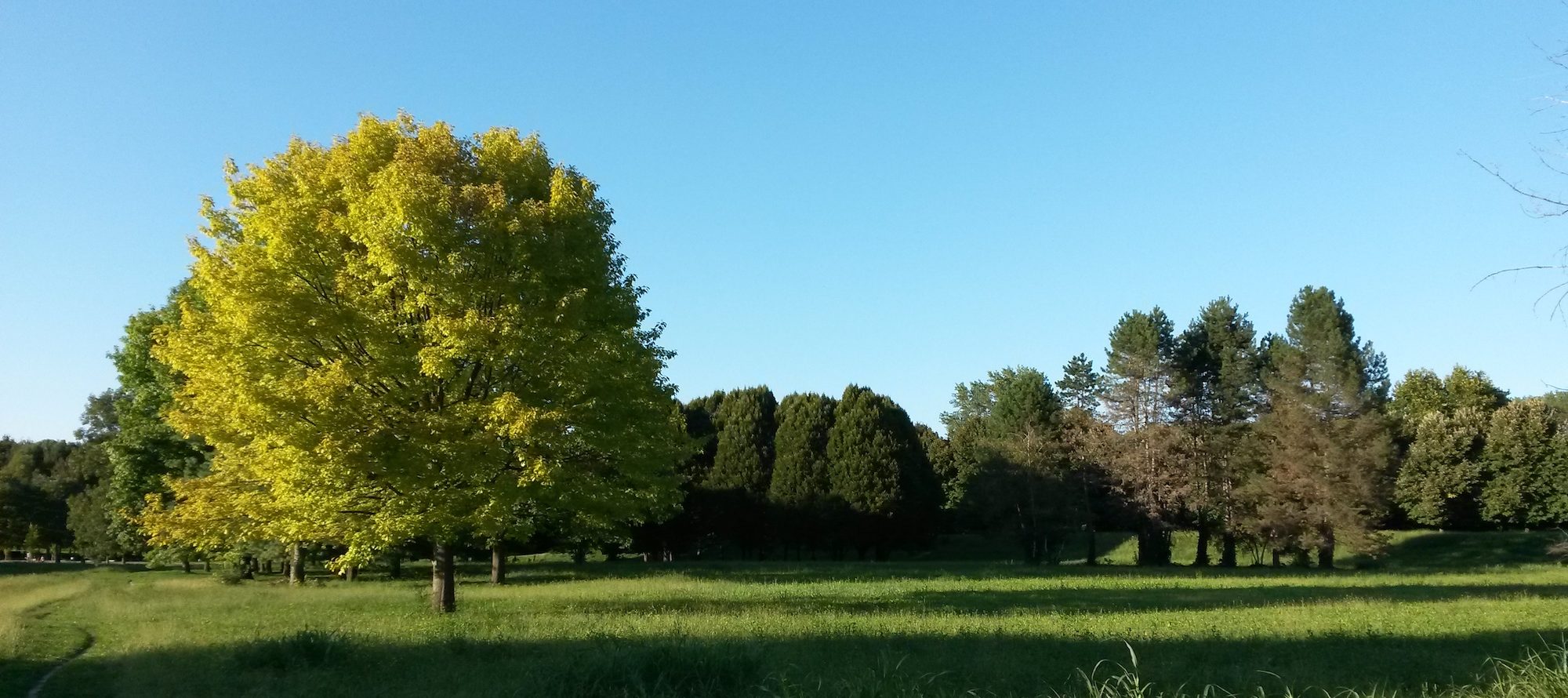 parco della colletta torino