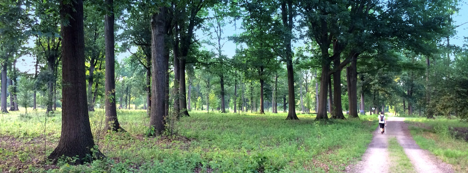 Parco di Stupinigi