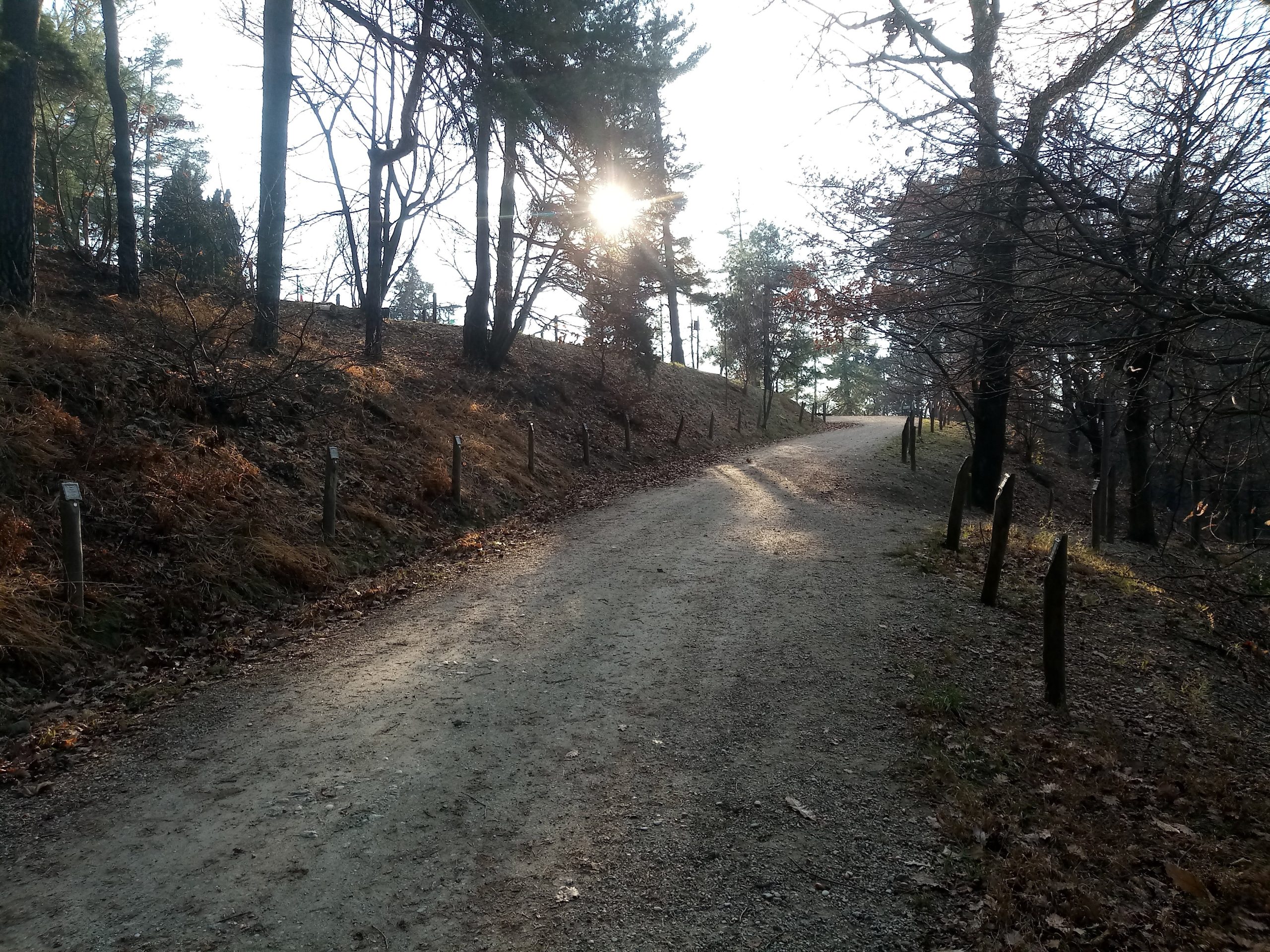 Camminate a Torino Parco della Maddalena