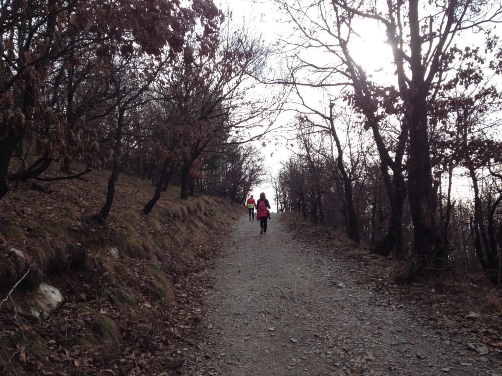 monte san giorgio