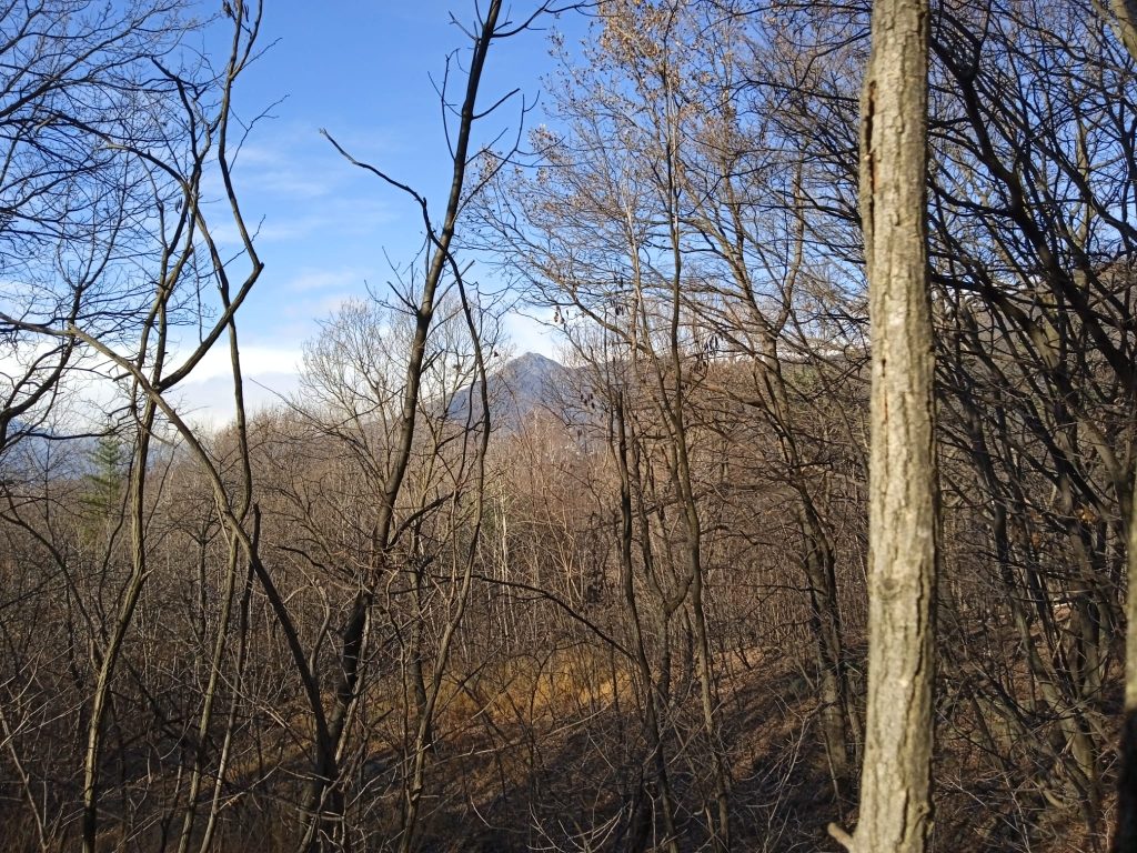 pista tagliafuoco del musiné da almese